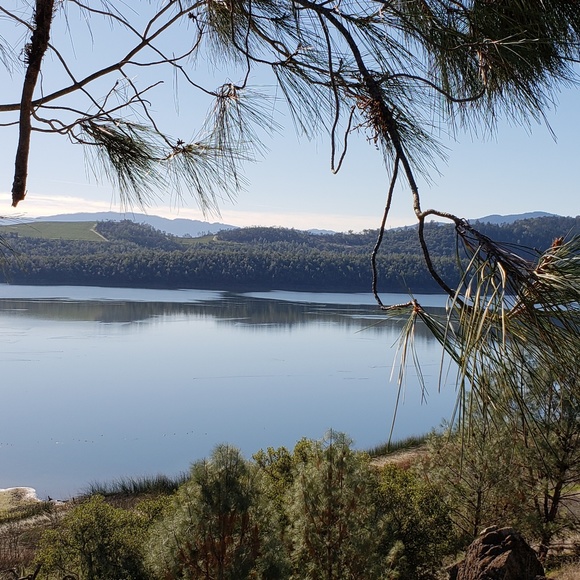 Meet your Posher, Colleen - Picture 1 of 1